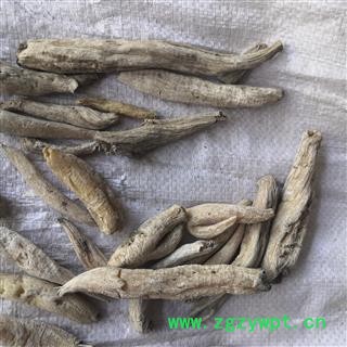 安祁名药正品藏药紫茉莉根 新货无硫图3