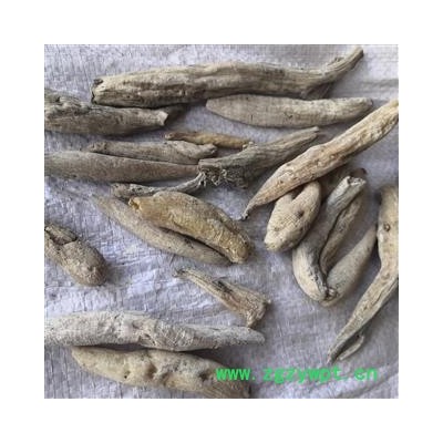 安祁名药正品藏药紫茉莉根 新货无硫