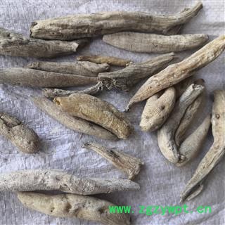 安祁名药正品藏药紫茉莉根 新货无硫图2