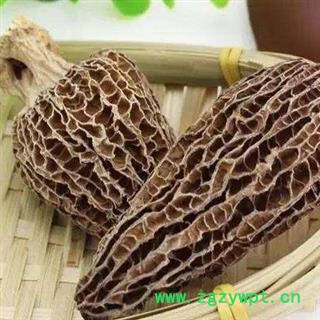 羊肚菌 纯野生羊肚菌全干货正品保证质量7天无理由退货退款 中药材批发 丽丽药业图2