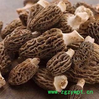 羊肚菌 纯野生羊肚菌全干货正品保证质量7天无理由退货退款 中药材批发 丽丽药业图4