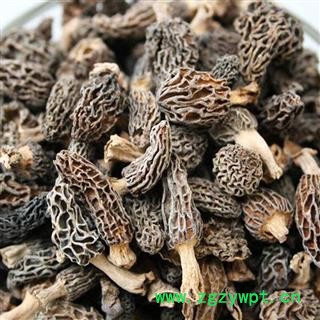 羊肚菌 纯野生羊肚菌全干货正品保证质量7天无理由退货退款 中药材批发 丽丽药业图3