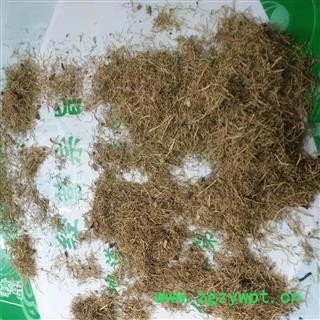 安祁名药正品细辛 辽细辛 各种规格齐全图3