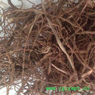 安祁名药茜草 全株 产地 陕西省图2