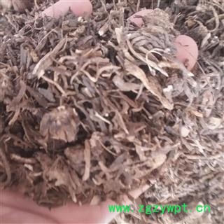 安祁名药正品地藕 杜若 竹叶莲图2