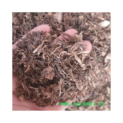 安祁名药正品地藕 杜若  竹叶莲