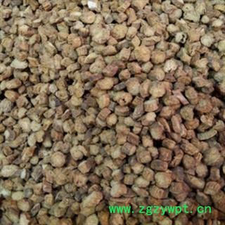 安祁名药优质牛蒡根  茶用级图2