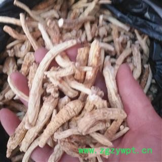 安祁名药正品人参 参丁图2