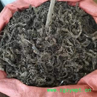 安祁名药中药材蜘蛛香 马蹄香图2