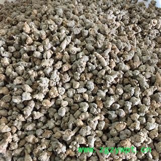 云南文山水洗120头三七/田七 产地直销图4