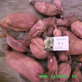 萝卜头，地骷髅，精品 产地 四川省成都市双流县图3