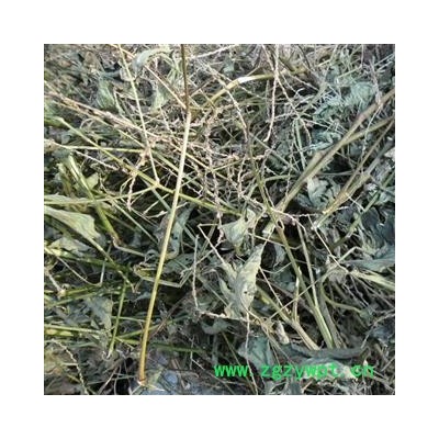 牛膝，牛茎，脚斯登，怀夕 统 产地 四川省成都市双流县