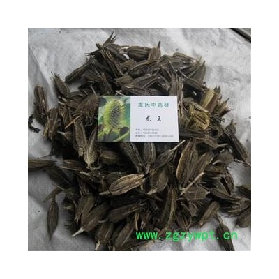 漏芦花 统货 产地 四川省成都市双流县