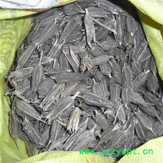 漏芦花 统货 产地 四川省成都市双流县图2