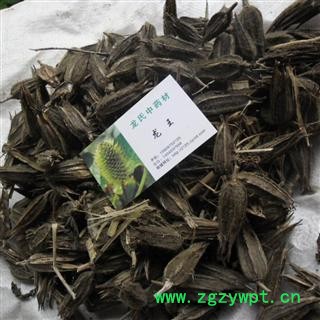 漏芦花 统货 产地 四川省成都市双流县图4