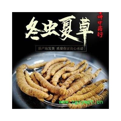 【包邮】冬虫夏草 大肉节子虫草 色泽饱满 无硫新货  产地直供 品质保证【良心经营 品种齐全】