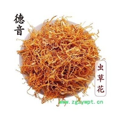 【满包邮】虫草花 选货 产地内蒙古 中药材批发 规格齐全