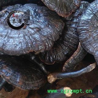 灵芝 野生黑芝 野生灵芝 药典标准 地道良药馆1000克直销 品种齐全 一站购齐图3