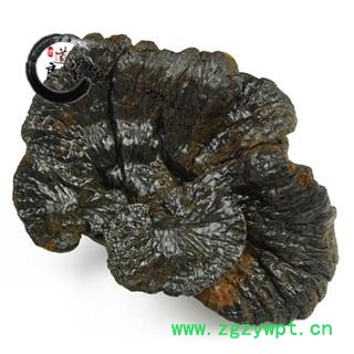 灵芝 野生黑芝 野生灵芝 药典标准 地道良药馆1000克直销 品种齐全 一站购齐图2