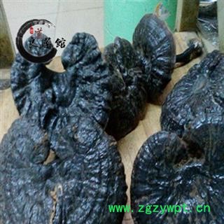 灵芝 野生黑芝 野生灵芝 药典标准 地道良药馆1000克直销 品种齐全 一站购齐图4