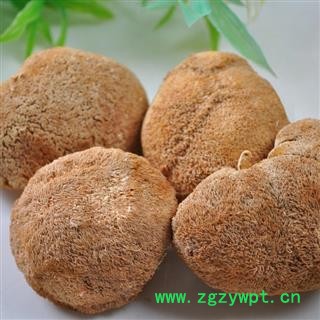 娟子中药 猴头菌 猴头菇 产地 浙江图3