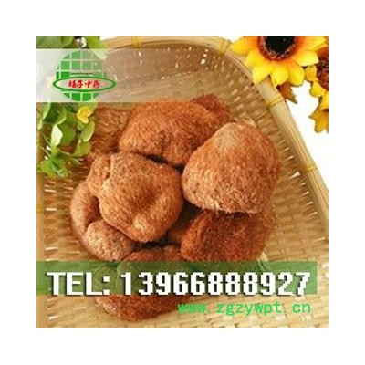 娟子中药 猴头菌 猴头菇 产地 浙江