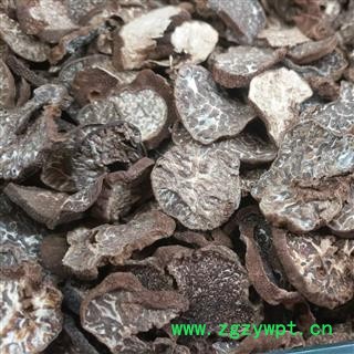 新辉药业正品灵芝 松露灵芝图2