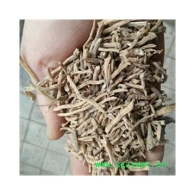 安祁名药正品野生玉簪花根  白玉簪花根