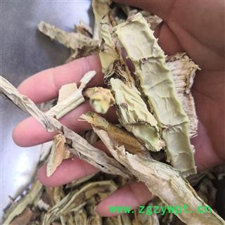 安祁名药仙人掌 干茶多肉仙人掌 无硫新货图2