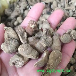 安祁名药水田七 土三七图2