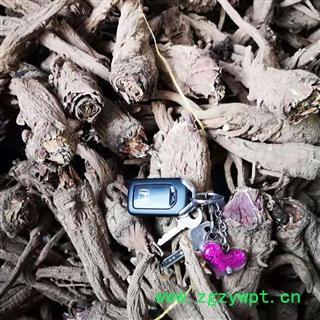 安祁名药道地直销 白芷  八大祁药之一图2