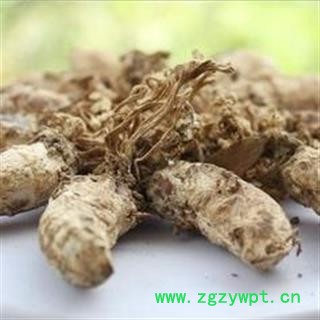 金蝉花统货 500克 正品保证质量7天无理由退货退款 中材药批发 丽丽药业图3