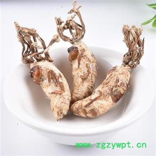 金蝉花统货 500克 正品保证质量7天无理由退货退款 中材药批发 丽丽药业图4