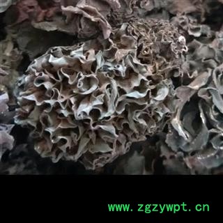 血耳 药用木耳 正品保证质量7天无理由退货退款 华安堂图4