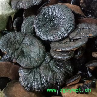 紫灵芝 实图拍照7 正品保证质量7天无理由退货退款 安品堂图3