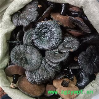 紫灵芝 实图拍照7 正品保证质量7天无理由退货退款 安品堂图2