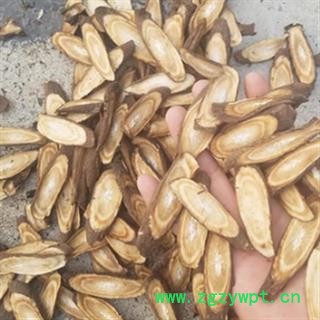 安祁名药正品牛蒡根 牛蒡干片  天然晒干生图2