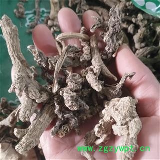 安祁名药正品竹节参  竹节人参 竹节三七  明七图2
