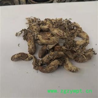 德誉堂药业 金蝉花 金蝉花 统 产地 安徽图3