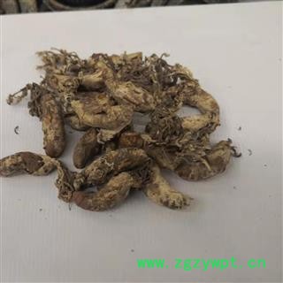 德誉堂药业 金蝉花 金蝉花 统 产地 安徽图4