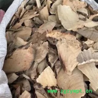 安祁名药正品猫尾木根 优质野生图2