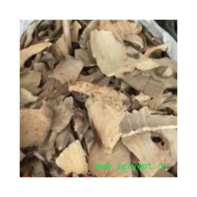 安祁名药正品猫尾木根 优质野生