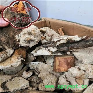 茯神 统货 产地 云南省【品种齐全 诚信经营】图2