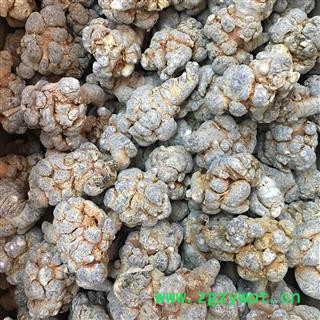 云南文山12头三七（12个500克）水洗全干带剪口春七图3