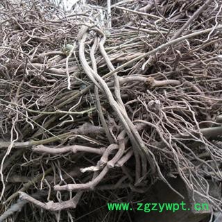 金刚根 统货 产地 四川省成都市双流县图4