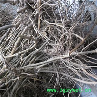 金刚根 统货 产地 四川省成都市双流县图3