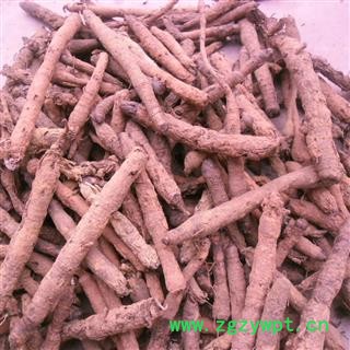 独脚仙茅 鲜统货 产地 四川省成都市双流县图3