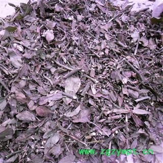 金刚藤 统货 产地 四川省成都市双流县图3