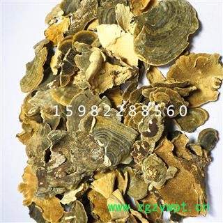 【满298元包邮】云芝野生云芝 选装 产地 云南省西双版纳傣族自治州景洪市图2