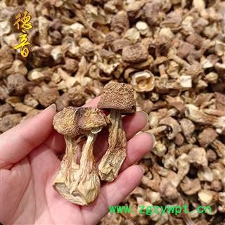 【满包邮】姬松茸 产地 吉林省 1000g 中药材天门冬批发 规格齐全图2